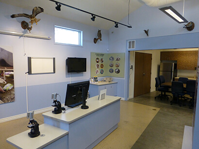 wildlife care center interactive displays